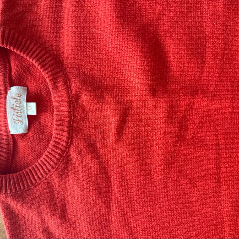 Red Men's Sweater